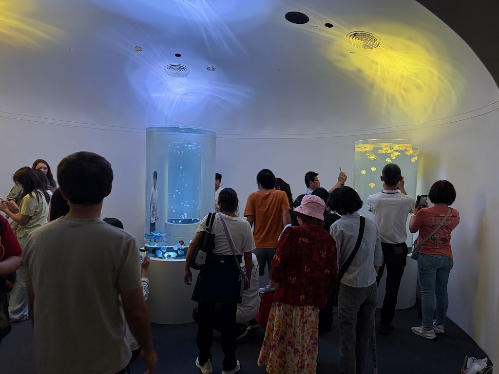 全台最大水母展、360度鯊魚缸亮相 台中海洋館搶先看