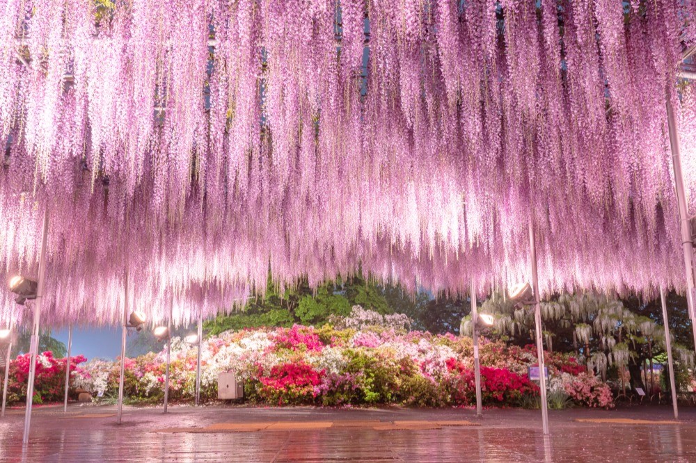 日本栃木縣首次參展    感受北台灣旅客的熱烈支持