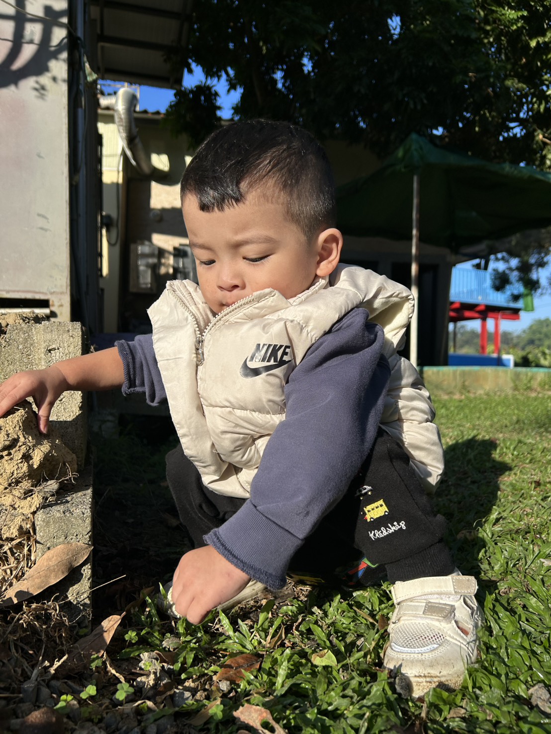 親子露營熱潮升溫　五大守則與完整準備清單一次看懂，新手爸媽安心踏上戶外之旅