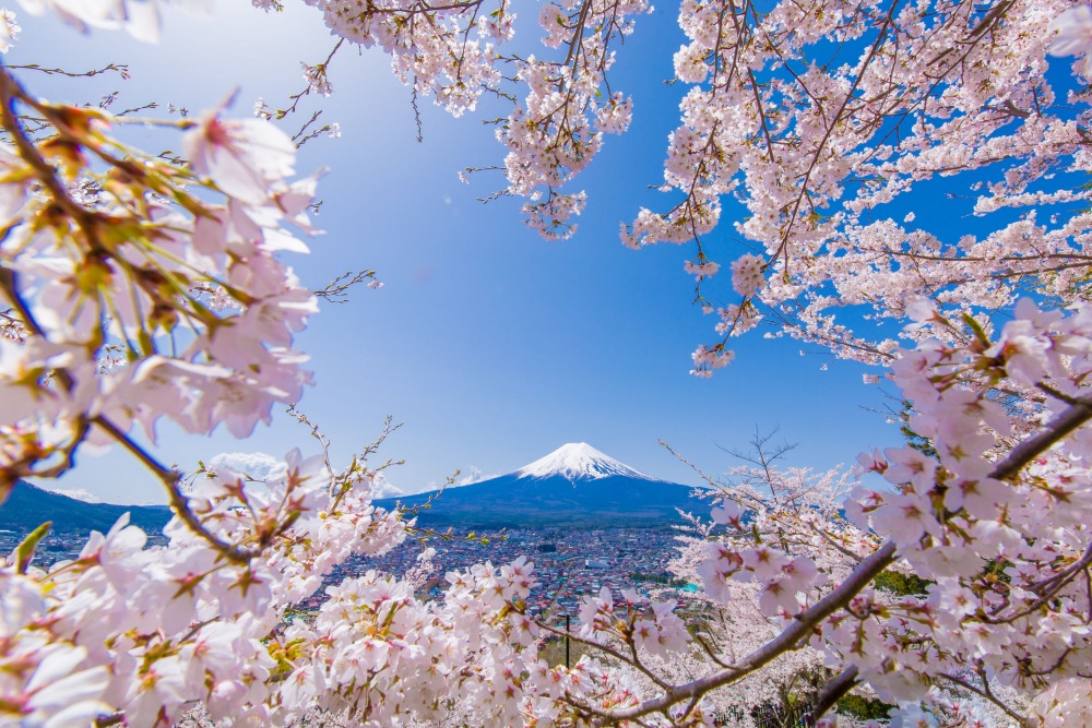 年底出國不用換那麼多現金 ! 環球VISA金融卡直接外幣扣款、還能享6.6%回饋