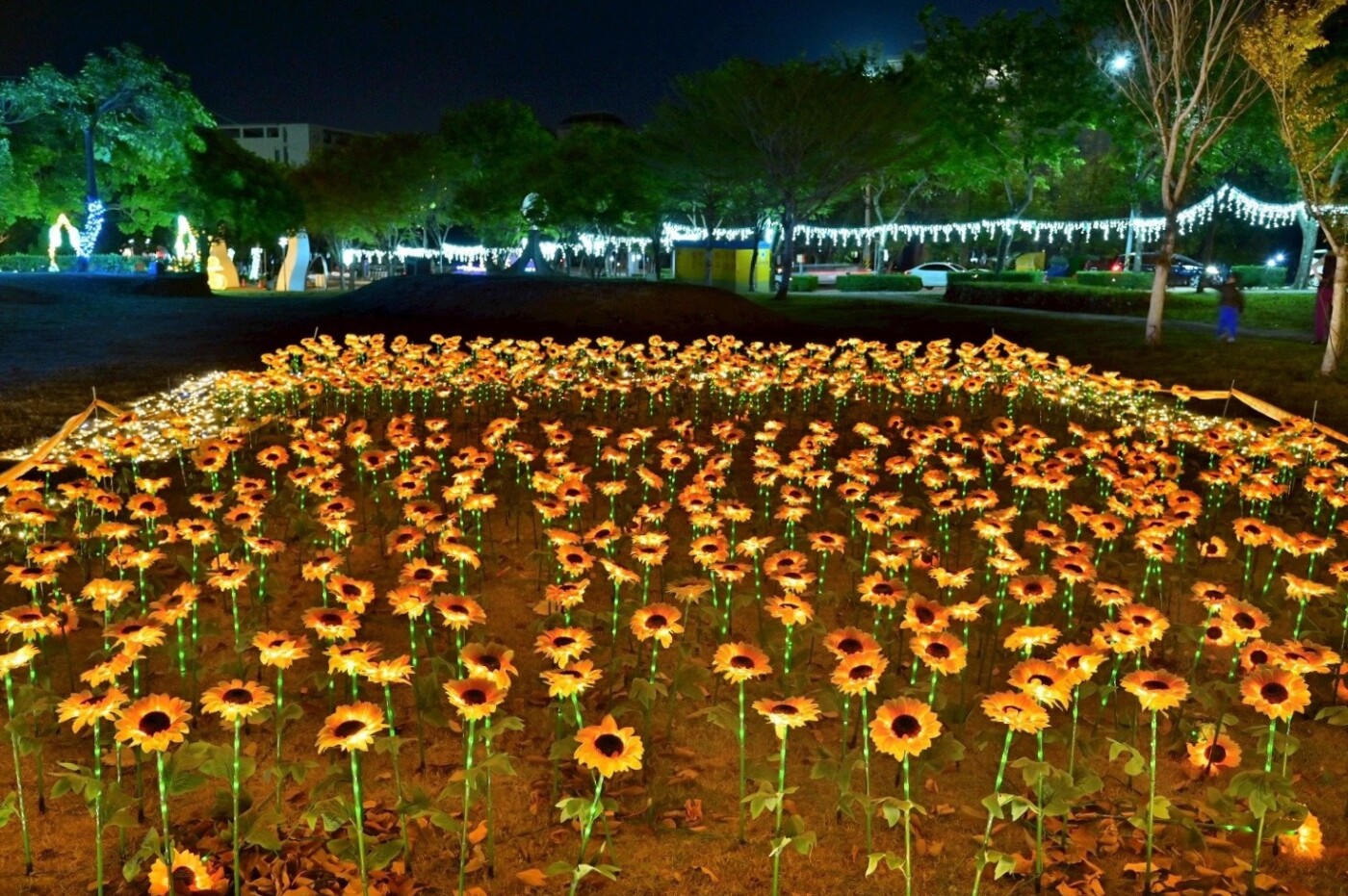 台中海線冬季賞燈必遊！ 沙鹿嘉年華12/13璀璨登場 民政局長：打造冬季浪漫光影盛宴