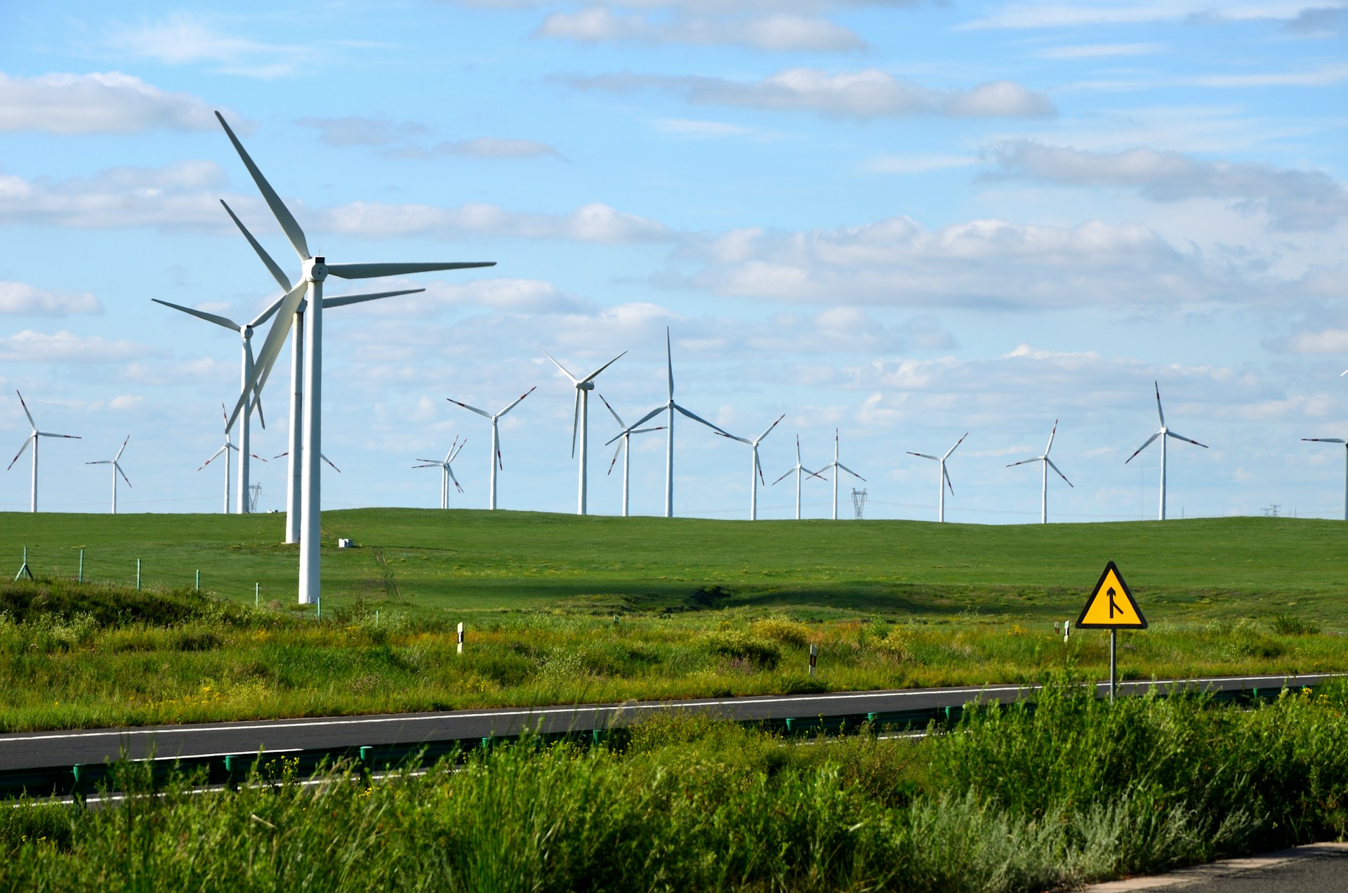 00929換股大升級　成分股擴至50檔、跨足雲端與綠能