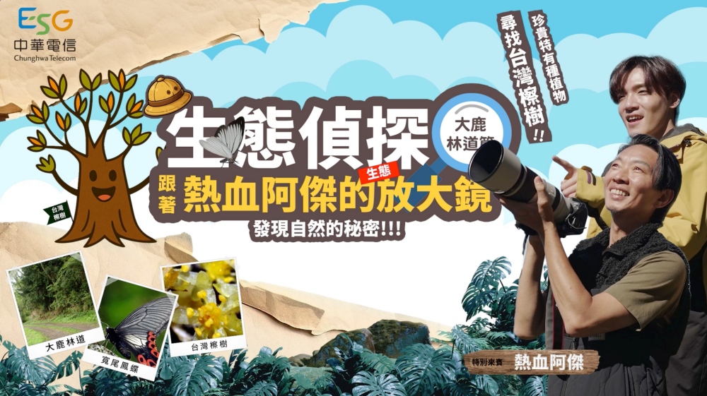 中華電信推動大鹿林道造林復育 　攜手林業保育署守護臺灣檫樹珍貴物種