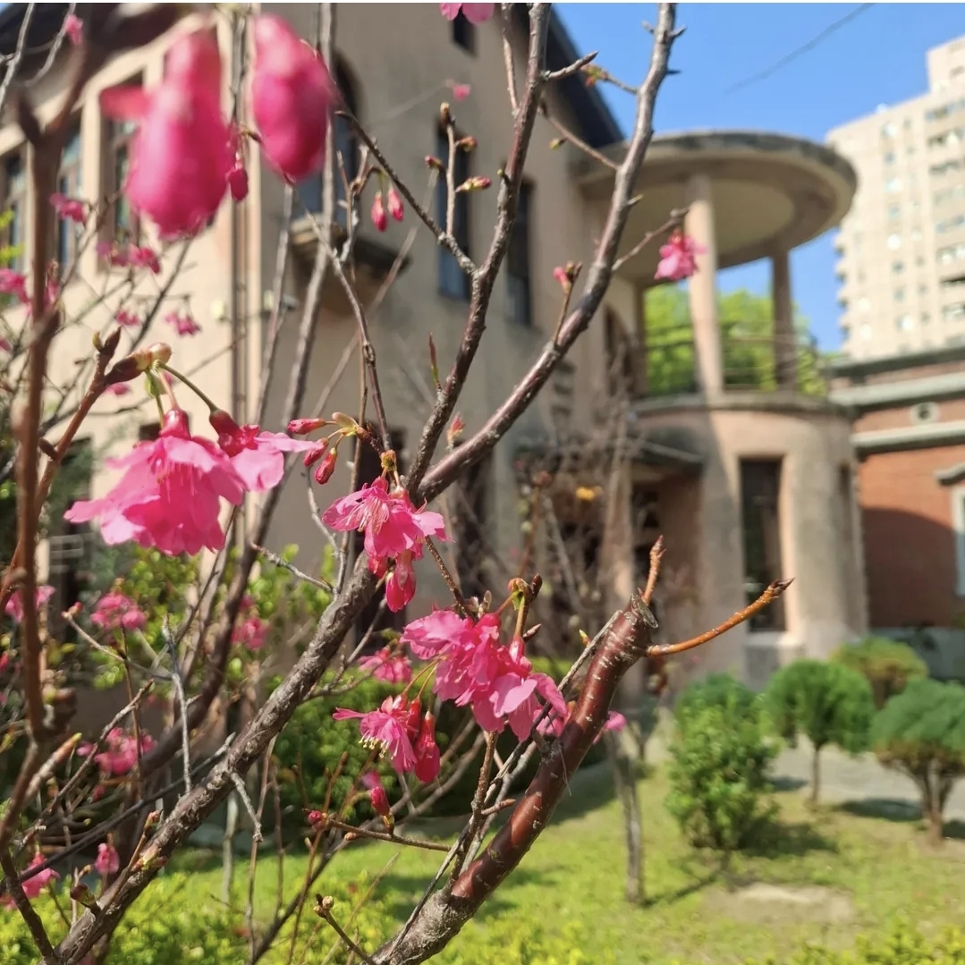 百年故居變美學展場！林懋陽故居日式花器展迎春