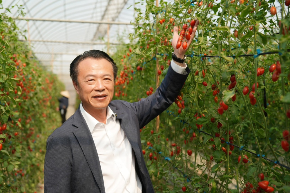 嘉義優鮮玉女番茄精品禮盒「喜番・大好き」全新改版甜蜜上市!