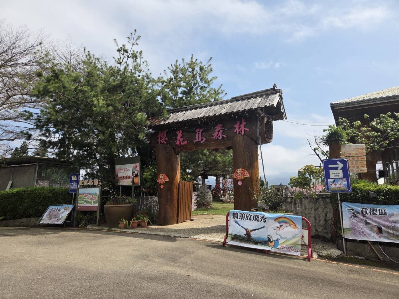 台中新社麝香木花季登場  粉色花道吸引遊客朝聖