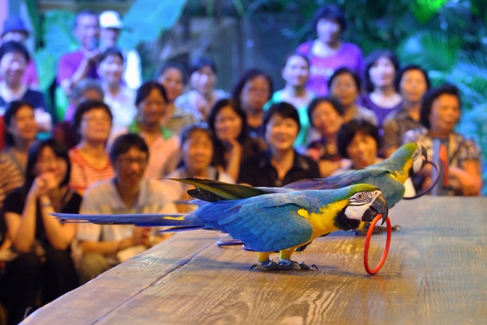 綠世界新「2026春季校外教學」優惠    加碼送超人氣充氣飛盤！