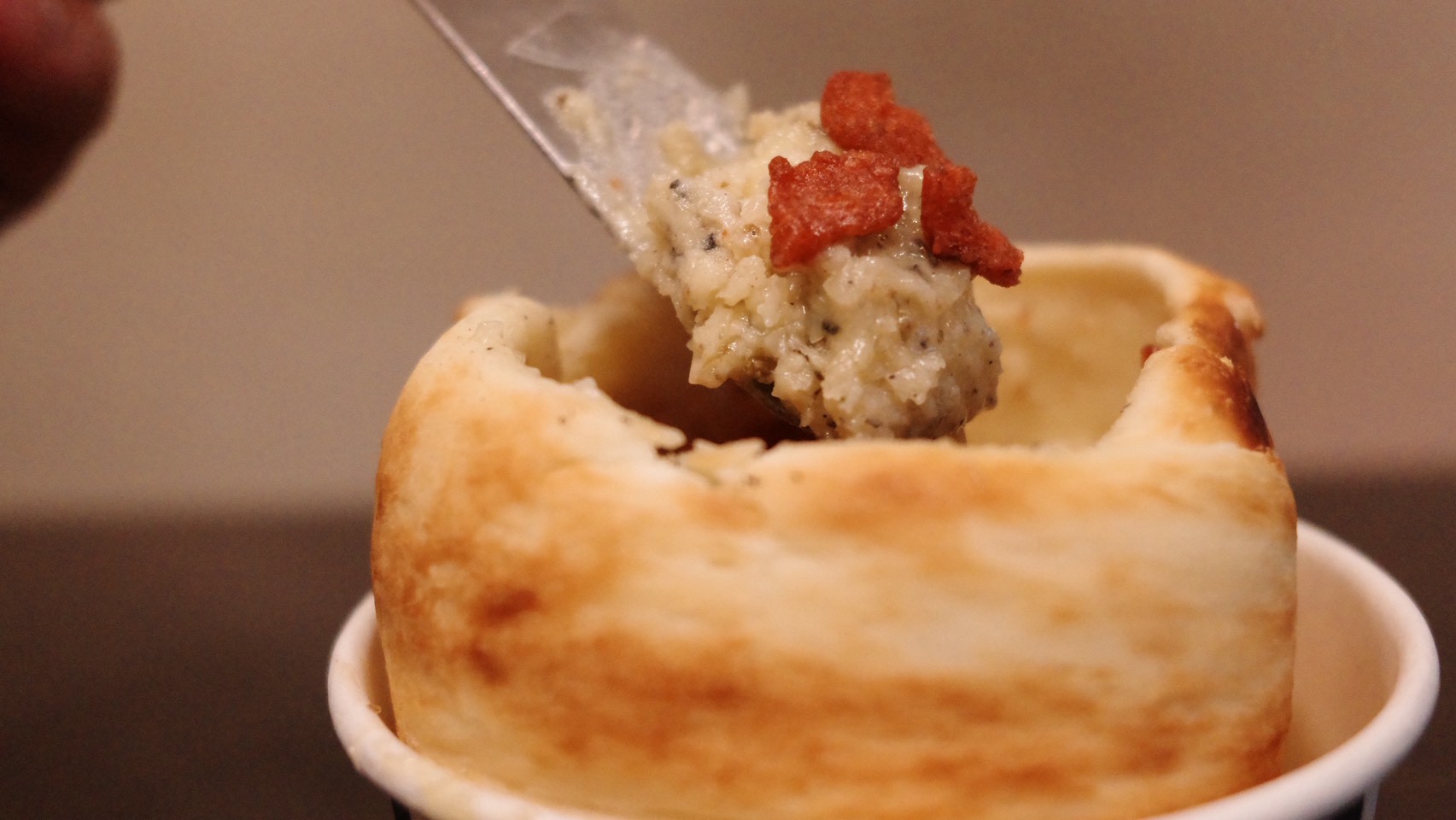 「2026新北春紛節」春日大集合  沐浴在陽光與音樂下的午後