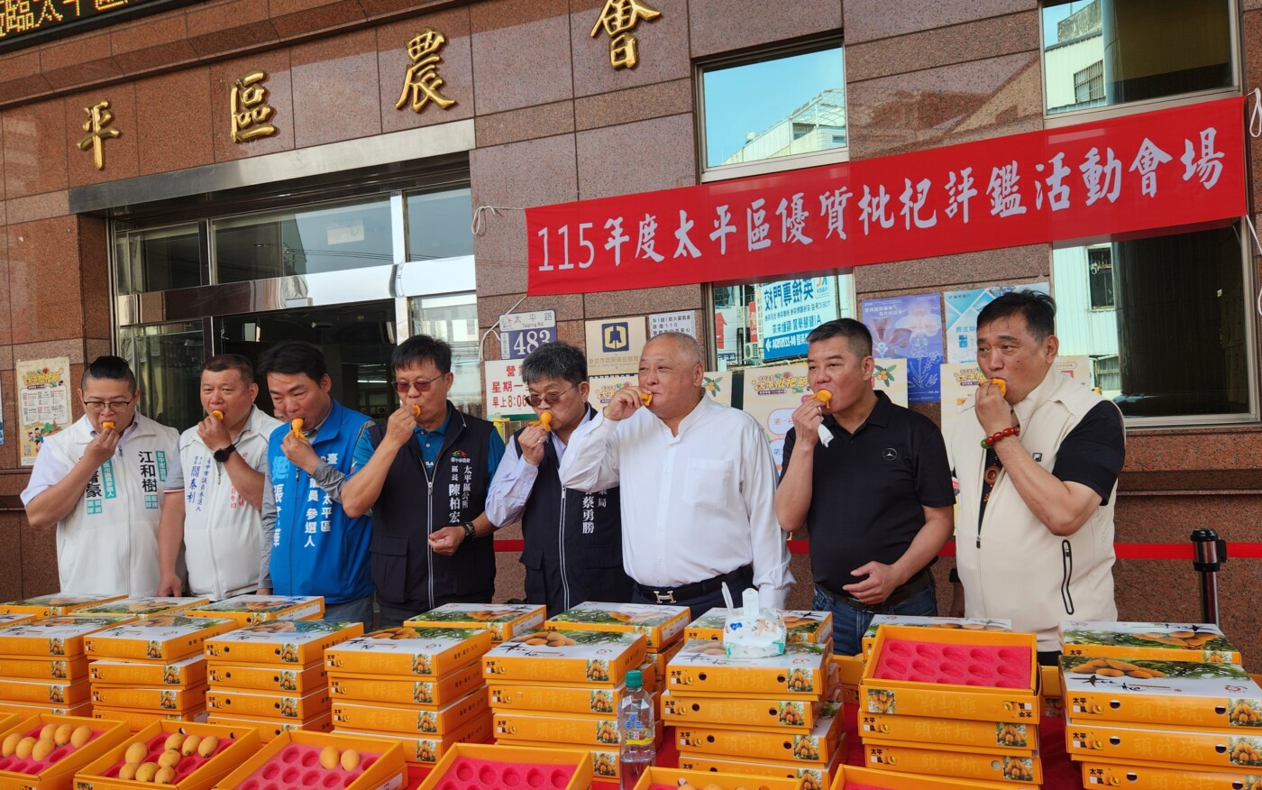 枇杷節系列活動開跑　邀民眾春遊太平品鮮果
